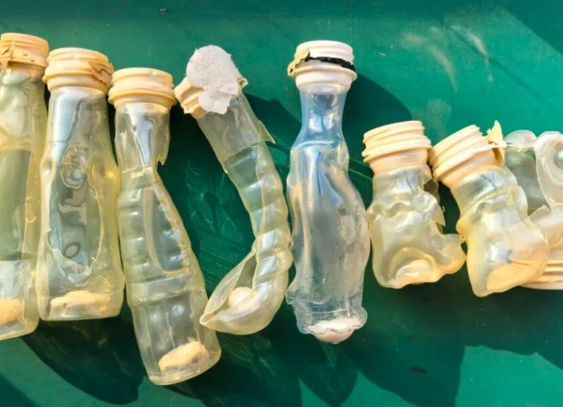 Más que la eliminación de botellas de barrera: DATABEYOND es pionera en la tecnología de fusión de doble sensor