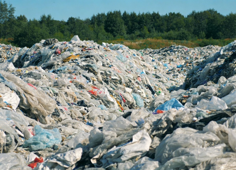 La clasificación de películas está a punto de ser un gran avance: se acerca un punto de inflexión tecnológica